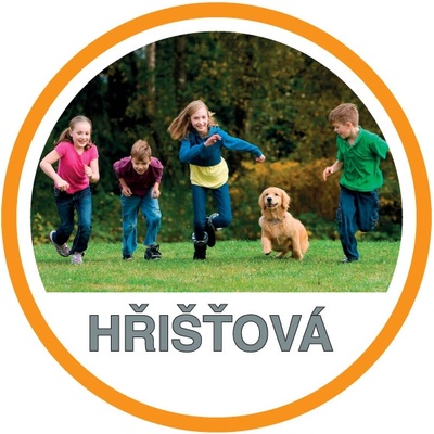 SEED SERVICE Trávne osivo Ihrisková - hobby rada Ihrisková - hobby rada 10 kg