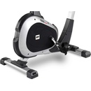 BH Fitness Artic Program