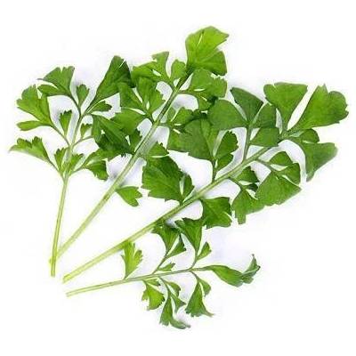 VÉritable (Франция) Пълнител (лингот) Garden cress Organic за настолна градина Véritable® - градински кресон (VLIN-J10-Cre024)