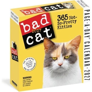 Workman Calendars Bad Cat Page-A-Day® Calendar 2027 | Workman Calendars