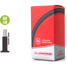 Chaoyang AV