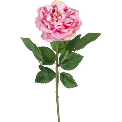 Ixia Изкуствено цвете (височина 43 cm) Rose - Ixia (604054)