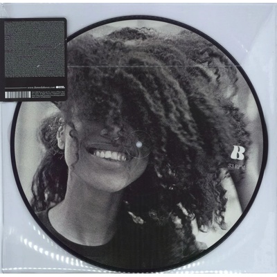 HAVAS, LIANNE LA - LIANNE LA HAVAS LP