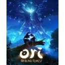 Hry na PC Ori and the Blind Forest