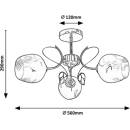 Image 1 of Rábalux Fauna 5098