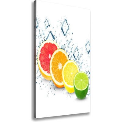 Vertikálny moderný obraz canvas na ráme Citrusy 50x100 cm
