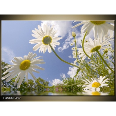 Moderní obraz F000680F9060 (Jednodílný 90x60 cm)