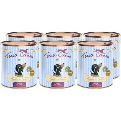 Terra Canis Puppy Пиле с тиква, лайка и домати 6 x 800 г