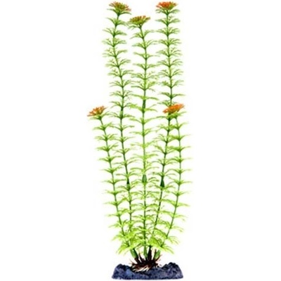 Penn Plax Plant-XL Ambulia 33 cm