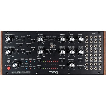 Moog Labyrinth
