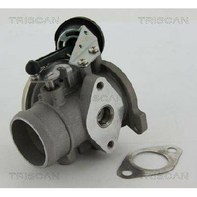 AGR-Ventil TRISCAN 8813 29022 (881329022)