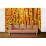 DIMEX ART Самозалепваща се флизелинова фототапета пътека в есенната гора 375 x 250 см