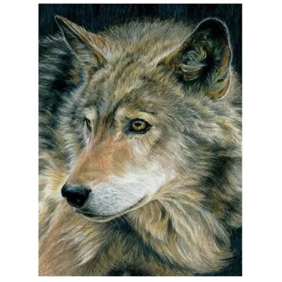 Royal & Langnickel - Творчески комплект за оцветяване по номера - Вълк (CPN18)