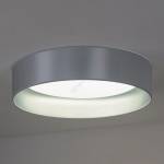 Duolla - LED Плафониера ROLLER LED/24W/230V Ø 45 см сребрист (DU605359)