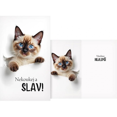 Přání s kočkou Nekoukej a slav