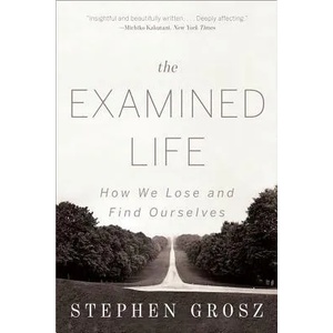 Examined Life | Stephen Grosz (ISBN: 9780393349320)