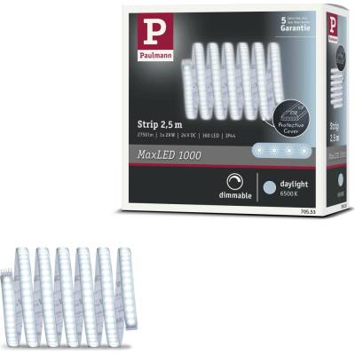 Paulmann 70553