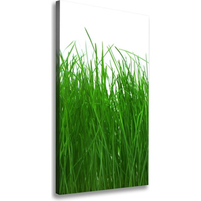 Vertikálny foto obraz tlačený na plátne Tráva 50x100 cm