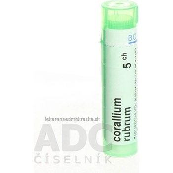 Corallium Rubrum gra.1 x 4 g 5CH