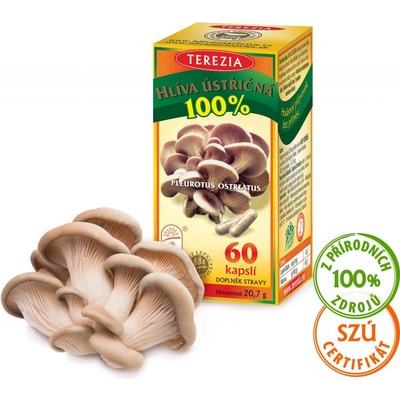 Terezia Hliva Ustricovita 60 ks