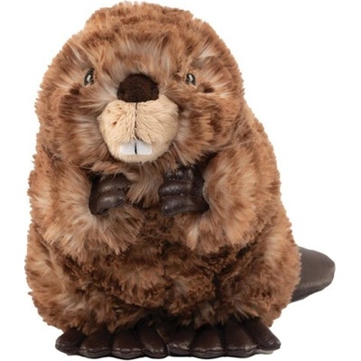 Beaver Chester Bobr mládě