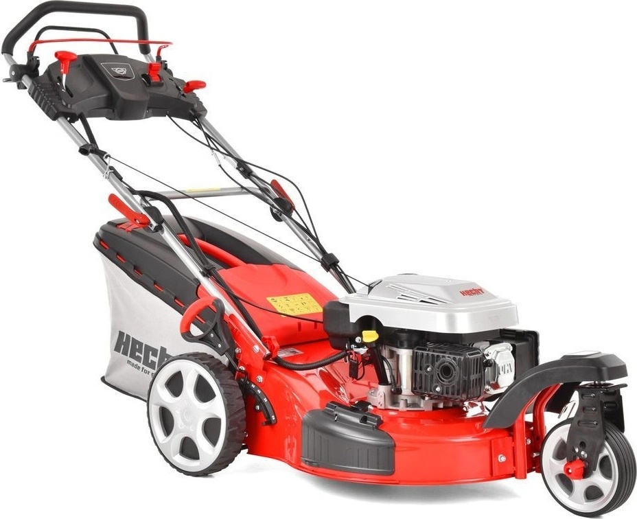 Hecht 5563 SXE