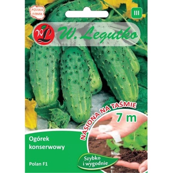 W. Legutko Полан f1 полски краставици за консервиране - средно ранни