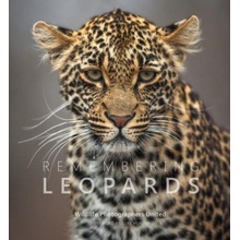 Remembering Leopards