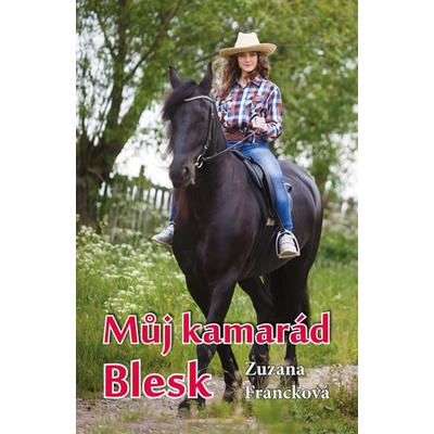 Můj kamarád Blesk