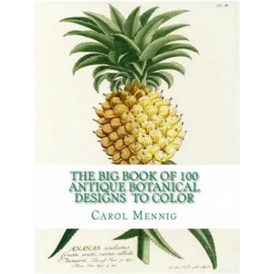 The Big Book of 100 Botanical Designs to Color | Carol Elizabeth Mennig (ISBN: 9781517193256)