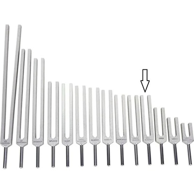 Ladička Meridián žlučník 506,80Hz