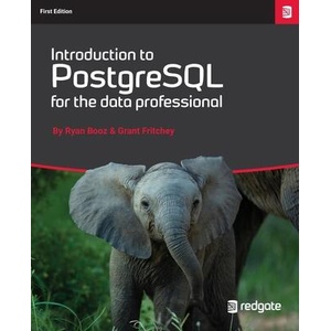 Introduction to PostgreSQL for the data professional. | Grant Fritchey (ISBN: 9781036902377)