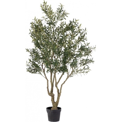 Bizzotto Olive plant w-vase h210 (0173150)