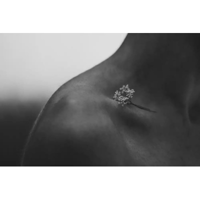 Fotografie - Mohjavad: Její - reprodukce obrazu