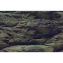Aqua Nova pozadie XL skaly / rastliny 150 x 60 cm