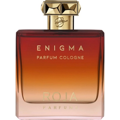 Roja Parfums Enigma Kolínská voda pánská 100 ml