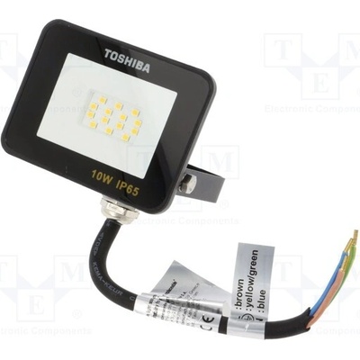 Toshiba DELL-FL44010C5A011