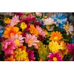 DIMEX ART Флизелинов фототапет пъстър букет 375 x 250 см