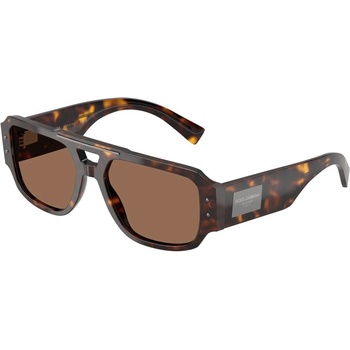 Dolce&Gabbana DG4482 502/73