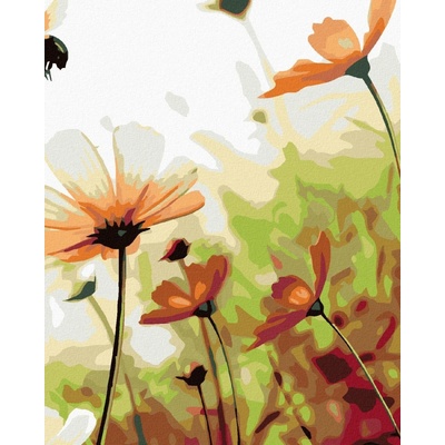 zuty Malování podle čísel Květinová louka 80 x 100 cm bez rámu a bez vypnutí plátna 8596530024224