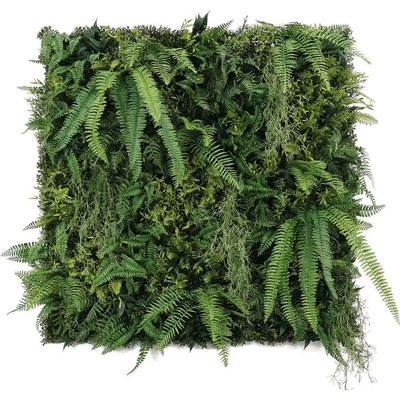 WALL GREEN Boston fern botanica, dielec 100 x 100 cm