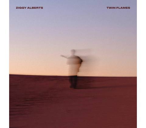 Ziggy Alberts - Twin Flames CD