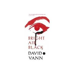 Bright Air Black | David Vann (ISBN: 9780099592266)