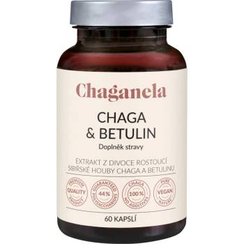 Chaganela Extrakt ze sibiřské čagy s betulinem 60 ks