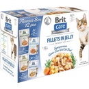Brit Care Cat Flavour box Fillet in Jelly 12 x 85 g