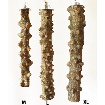 Terra bidýlko z pepřovníku 4 - 6 x 30 cm – Zboží Dáma