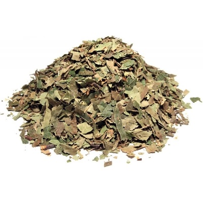 Bylík Bříza list 200 g