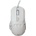White Shark Ector White GM-5016