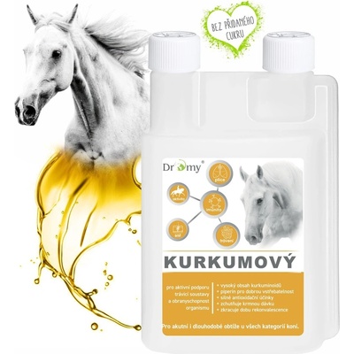Dromy Kurkumový sirup 1000 ml