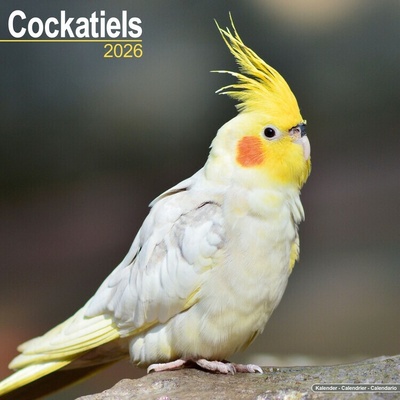 Cockatiels, 30,5 x 30,5 30,5 x 61 cm 2026